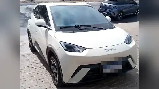 Foto de um byd dolphin mini