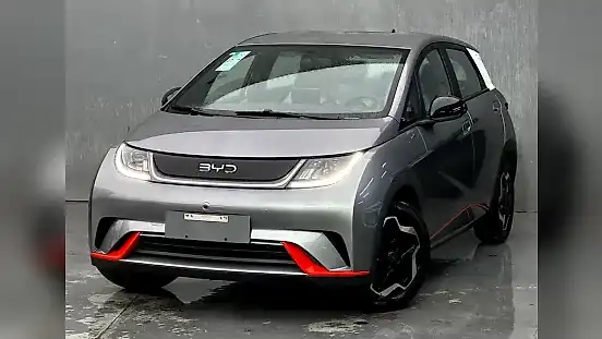 Foto de um byd dolphin