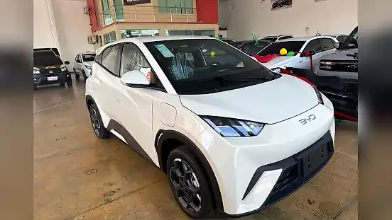 Foto de um byd dolphin mini
