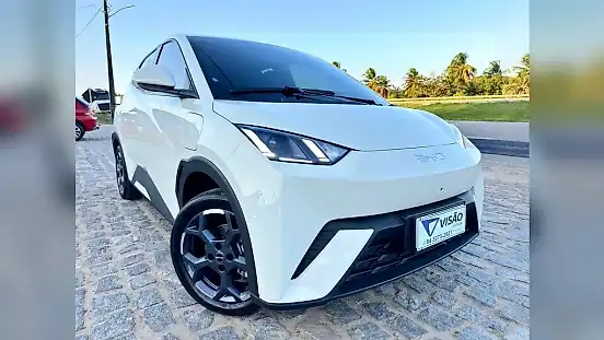 Foto de um byd dolphin mini