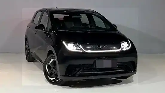 Foto de um byd dolphin