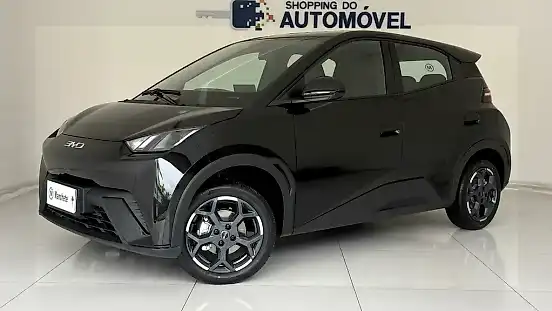Foto de um byd dolphin mini