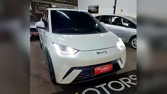 Foto de um byd dolphin mini