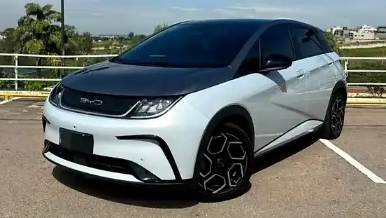 Foto de um byd dolphin