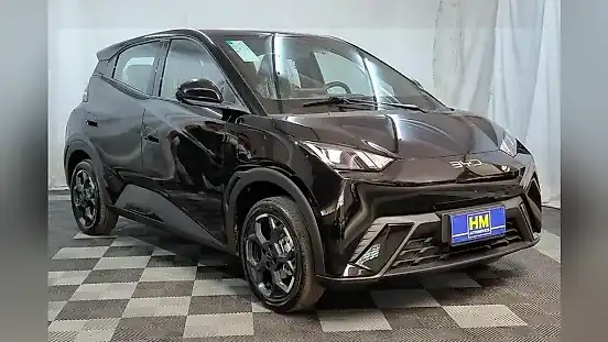 Foto de um byd dolphin mini