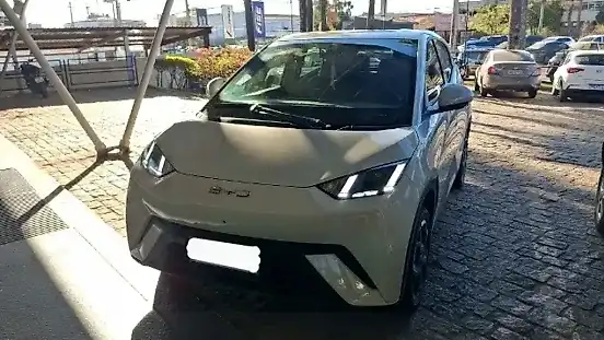 Foto de um byd dolphin mini