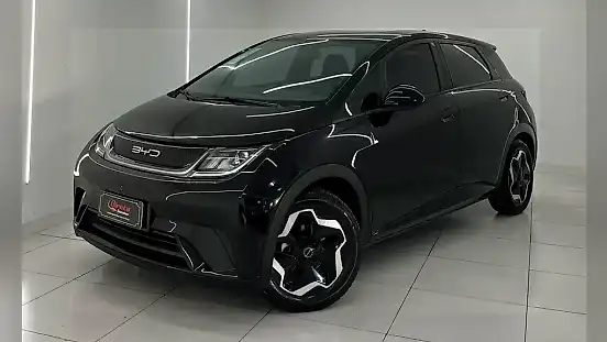 Foto de um byd dolphin