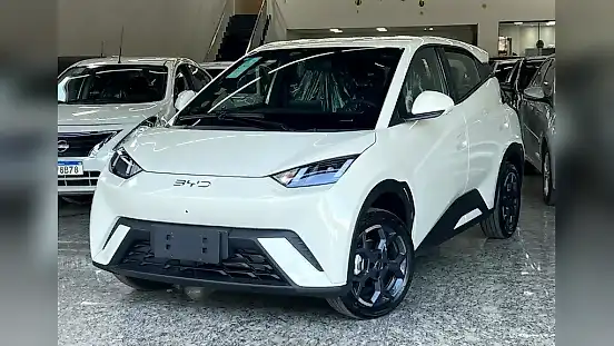 Foto de um byd dolphin mini