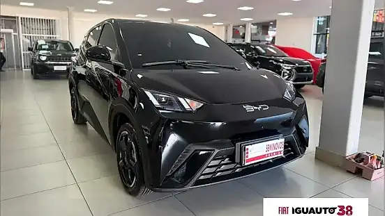 Foto de um byd dolphin mini