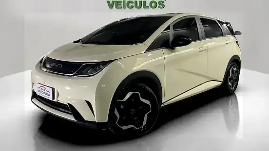 Foto de um byd dolphin