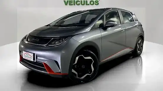Foto de um byd dolphin