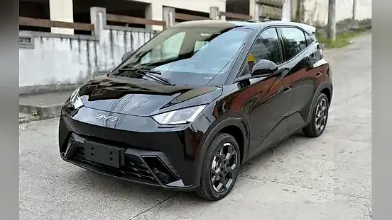 Foto de um byd dolphin mini