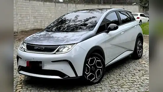 Foto de um byd dolphin