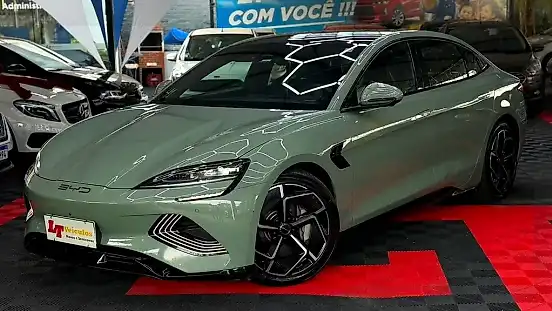 Foto de um byd seal