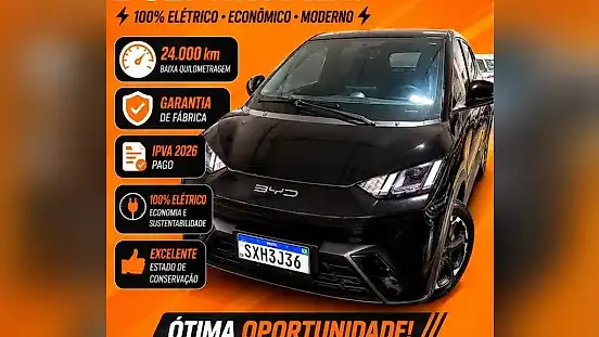Foto de um byd dolphin mini