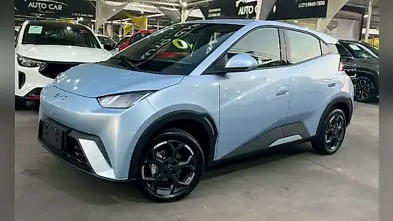 Foto de um byd dolphin