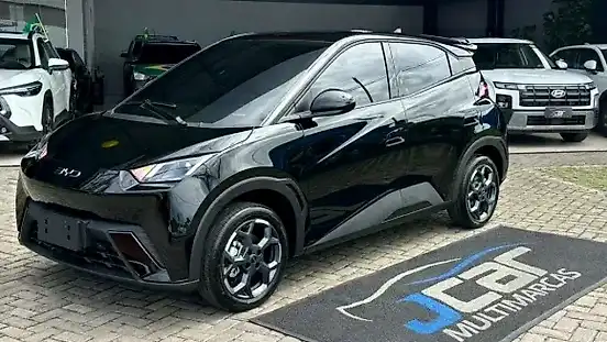 Foto de um byd dolphin mini