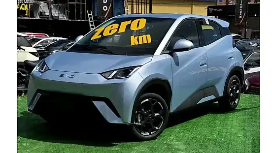 Foto de um byd dolphin mini