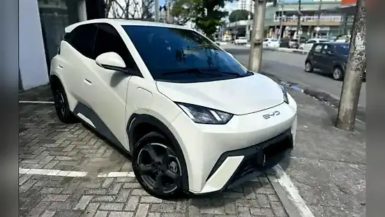 Foto de um byd dolphin mini