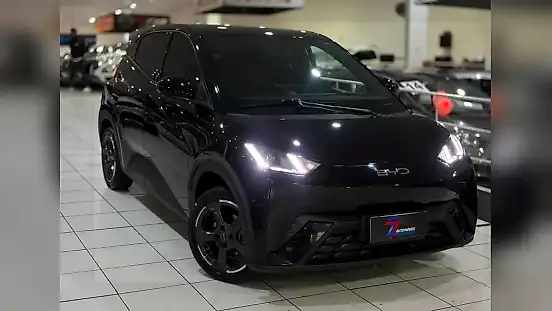 Foto de um byd dolphin