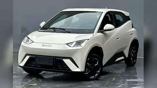 Foto de um byd dolphin mini