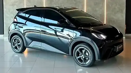 Foto de um byd dolphin mini