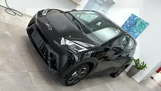 Foto de um byd dolphin mini