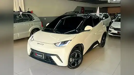 Foto de um byd dolphin