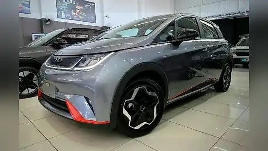 Foto de um byd dolphin