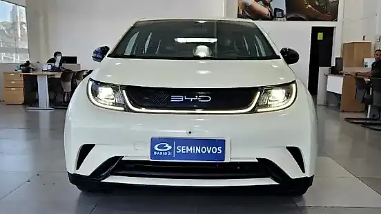 Foto de um byd dolphin