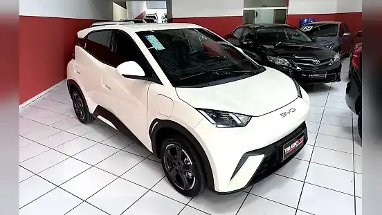 Foto de um byd dolphin mini