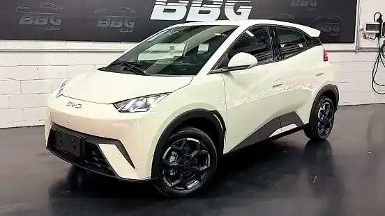 Foto de um byd dolphin