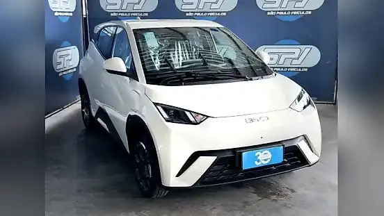 Foto de um byd dolphin mini