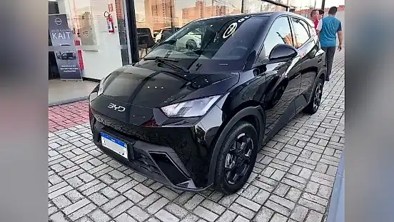 Foto de um byd dolphin mini