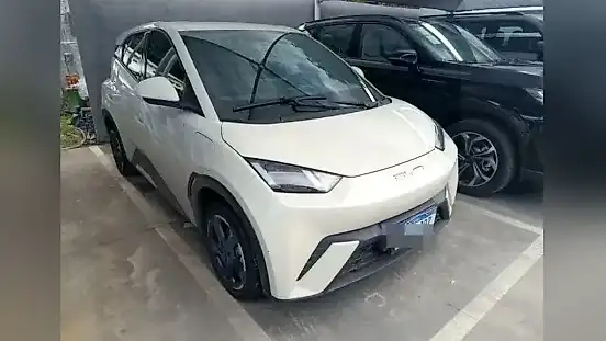 Foto de um byd dolphin mini