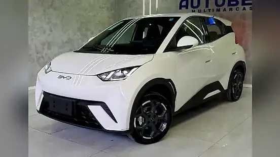 Foto de um byd dolphin mini