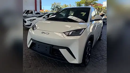 Foto de um byd dolphin