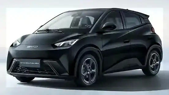 Foto de um byd dolphin