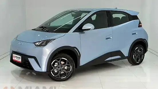 Foto de um byd dolphin mini