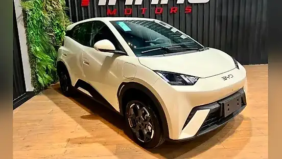 Foto de um byd dolphin mini