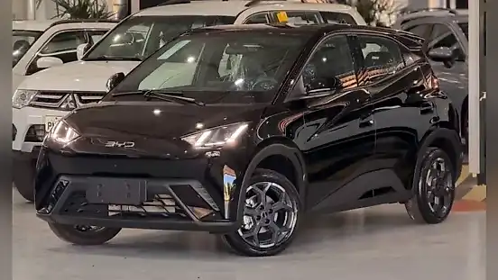 Foto de um byd dolphin mini