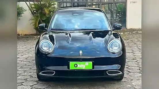 Foto de um gwm ora 03