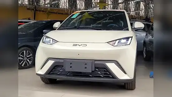 Foto de um byd dolphin mini