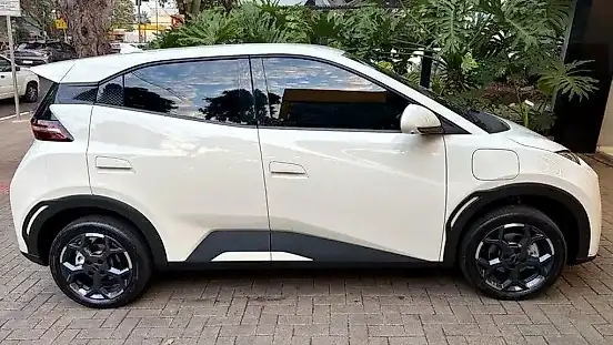 Foto de um byd dolphin