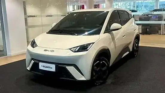 Foto de um byd dolphin