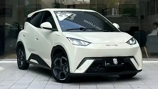 Foto de um byd dolphin mini