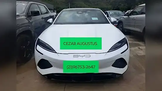 Foto de um byd seal