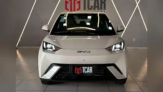 Foto de um byd dolphin mini