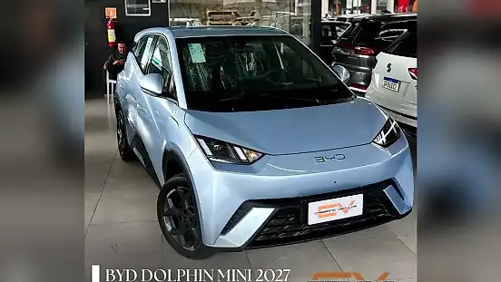 Foto de um byd dolphin