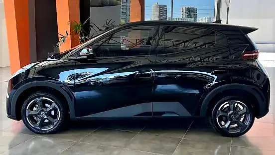 Foto de um byd dolphin mini